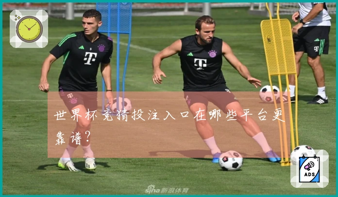 世界杯竞猜投注入口在哪些平台更靠谱？