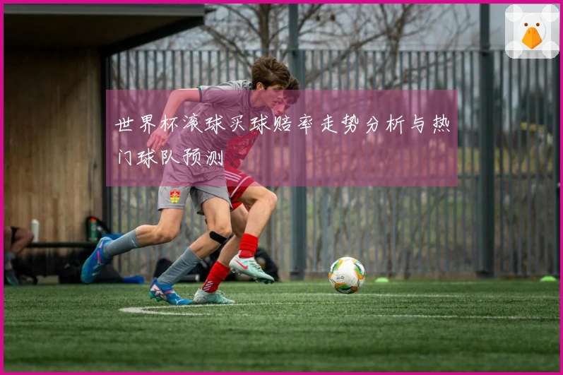世界杯滚球买球赔率走势分析与热门球队预测