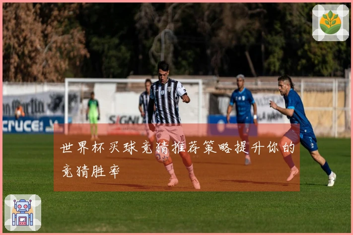 世界杯买球竞猜推荐策略提升你的竞猜胜率