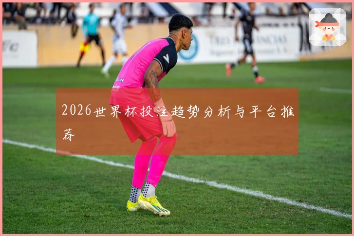 2026世界杯投注趋势分析与平台推荐