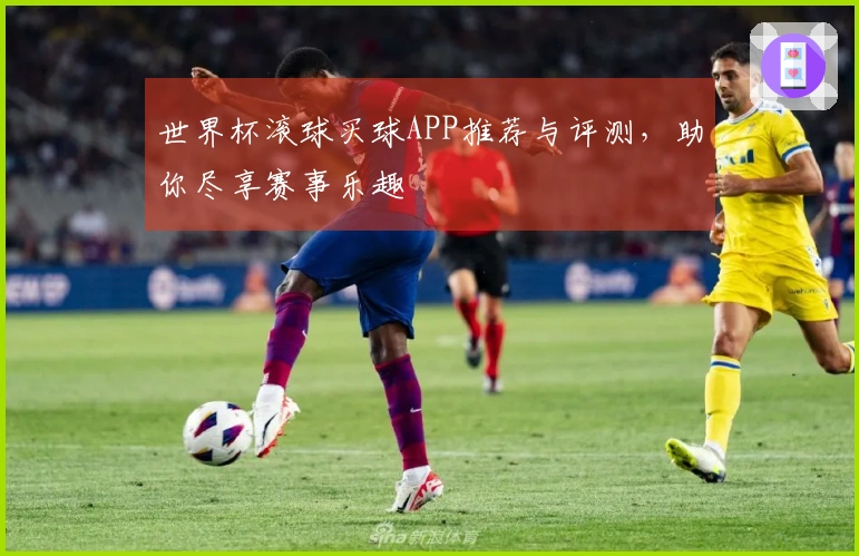 世界杯滚球买球APP推荐与评测，助你尽享赛事乐趣