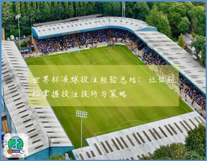 世界杯滚球投注经验总结：让你轻松掌握投注技巧与策略