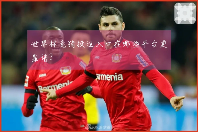 世界杯竞猜投注入口在哪些平台更靠谱？