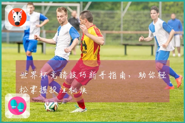 世界杯竞猜技巧新手指南，助你轻松掌握投注秘诀