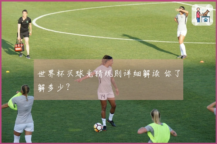世界杯买球竞猜规则详细解读 你了解多少？