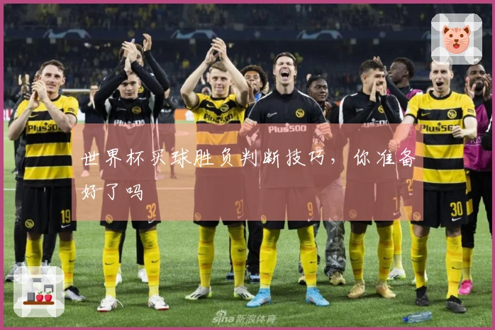 世界杯买球胜负判断技巧，你准备好了吗