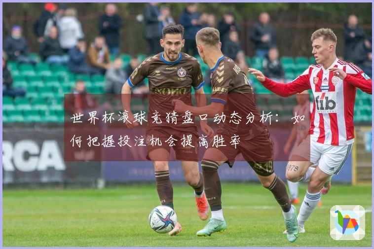 世界杯滚球竞猜盘口动态分析：如何把握投注机会提高胜率