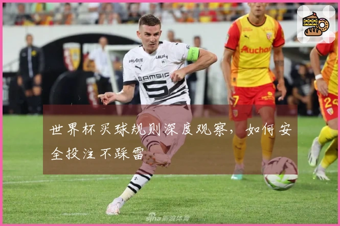 世界杯买球规则深度观察，如何安全投注不踩雷