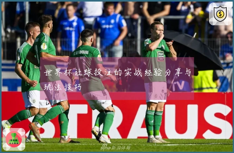 世界杯让球投注的实战经验分享与玩法技巧