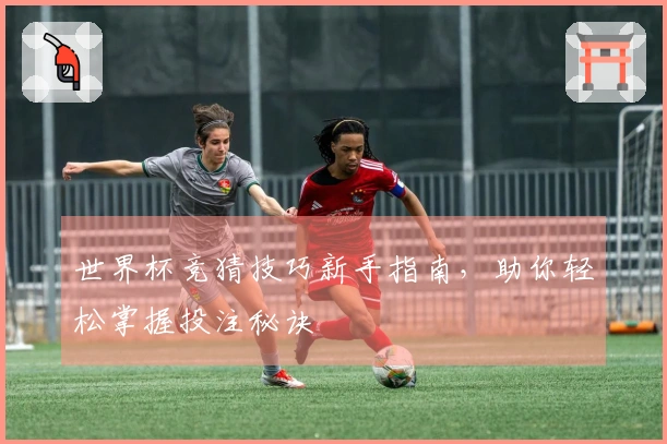 世界杯竞猜技巧新手指南，助你轻松掌握投注秘诀