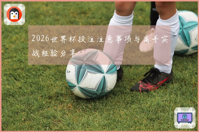 2026世界杯投注注意事项与高手实战经验分享