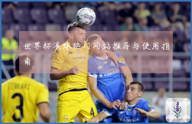 世界杯滚球热门网站推荐与使用指南